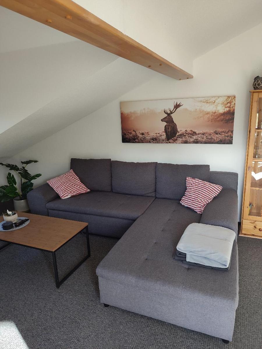 Ferienwohnung Schmidt Байериш Айзенщайн Екстериор снимка